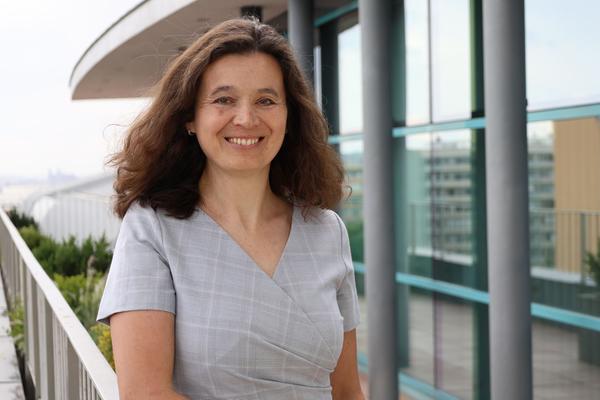 Jitka Sotonová, OKškolení